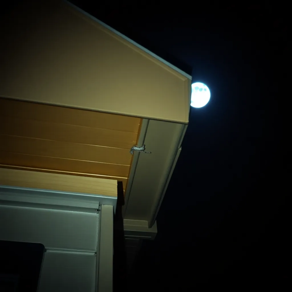 Czy deskowanie dachu chroni przed kunami