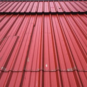 blacha na dach cena za m2