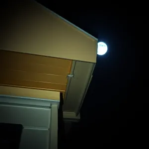 Czy deskowanie dachu chroni przed kunami