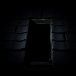 Czy kuna wejdzie pod dachówkę