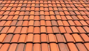 Dachówka BRAAS CELTYCKA ile na m2