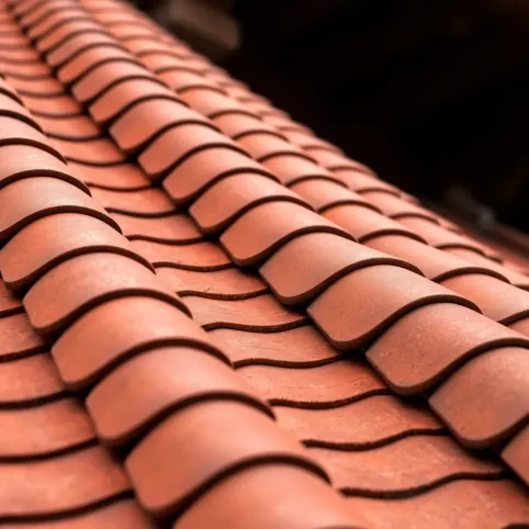 Dachówka karpiówka w łuskę ile na m2