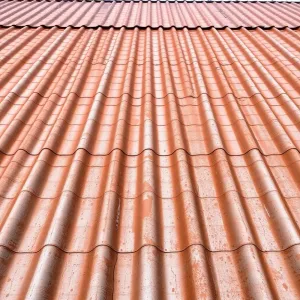 Ile kosztuje farba do malowania dachu z blachy