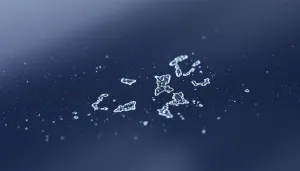 Jak usunąć wżery po ptasich odchodach