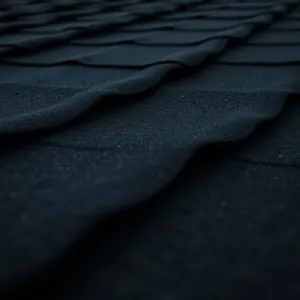 Papa na dach cena za m2